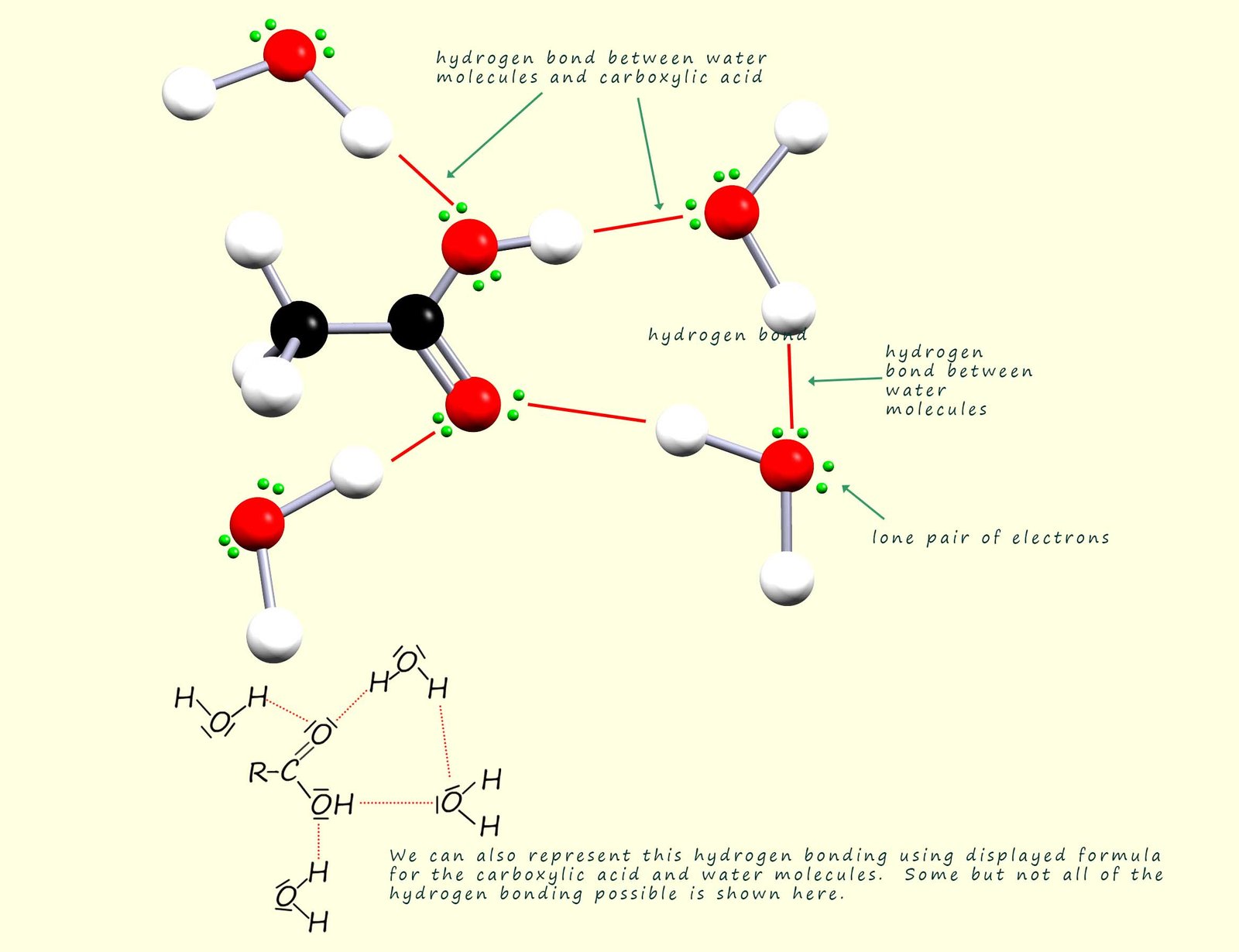 Images shows the hydrogen bonding between carboxylic acids and water molecules, hydroegn bonding is shown using 3d models.